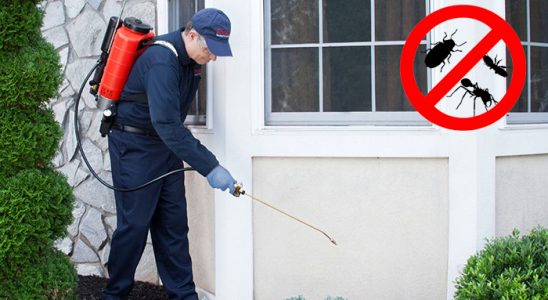 Marmaris Hamam Böceği İlaçlama böcek ilaçlama ve haşere kontrolü — ilaclama-tr.com